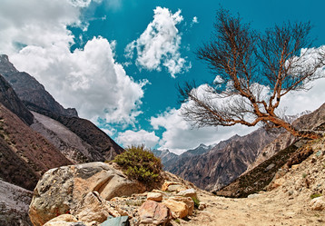 Similar image 13195965