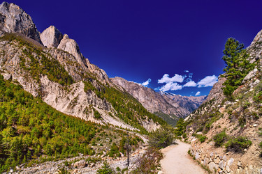 Similar image 13195986