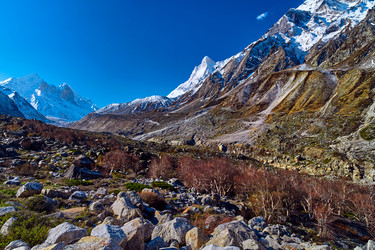 Similar image 13195989