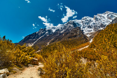 Similar image 13195998