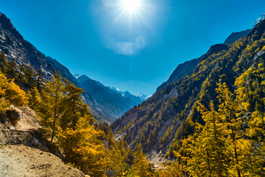 Similar image 13196001