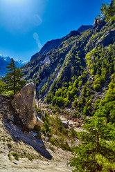 Similar image 13196021