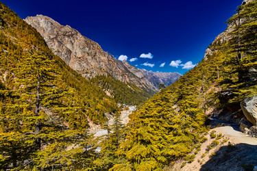 Similar image 13196022