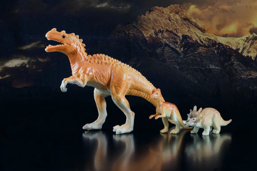 Similar image 13194761