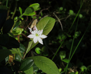 Similar image 13224051