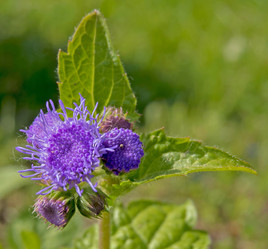 Similar image 13212639