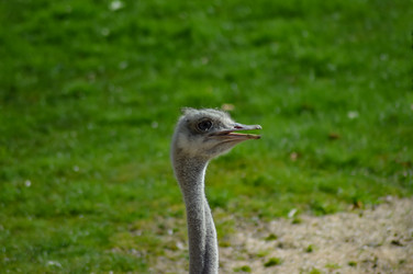 Similar image 13217614