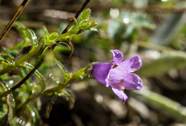 Similar image 13195428