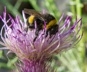 Similar image 13195429