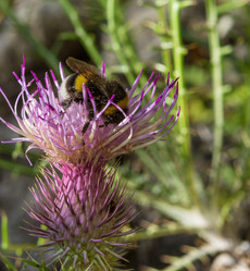 Similar image 13195430