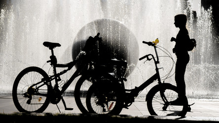 Similar image 13195409