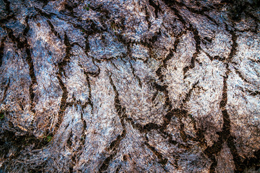 Similar image 13195413