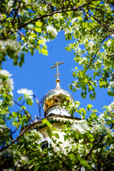 Similar image 13195416