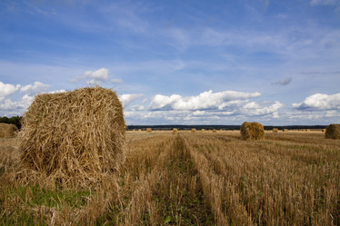 Similar image 13204155