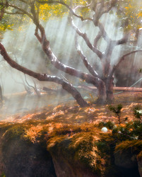 Similar image 13195360