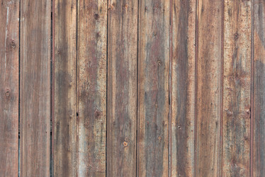 Similar image 13198149