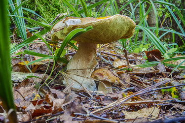 Similar image 13204157