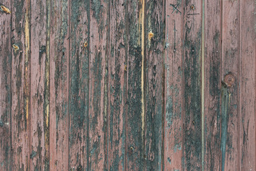 Similar image 13198155