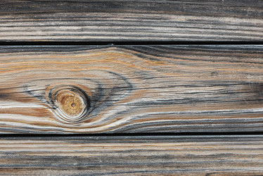 Similar image 13198157