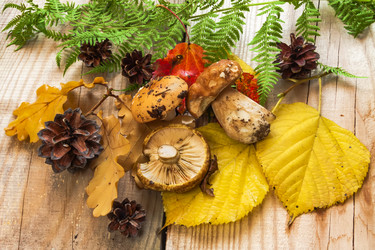 Similar image 13204159