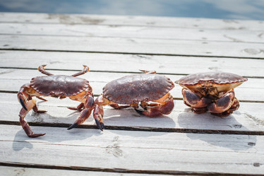 Similar image 13211294