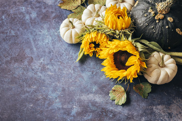 Similar image 13207579