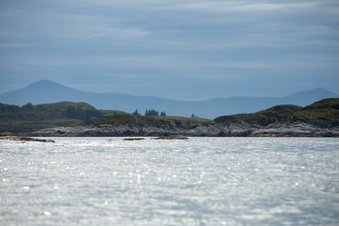 Similar image 13211127