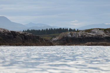 Similar image 13211236