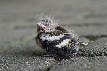 Similar image 13195464