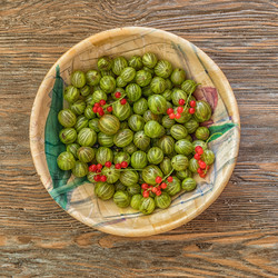 Similar image 13198497