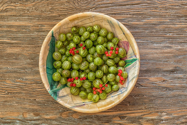 Similar image 13198498