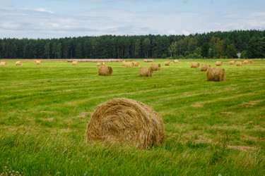 Similar image 13210971