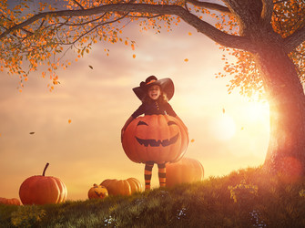 Similar image 13195084