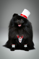 Similar image 13211129