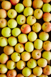 Similar image 13203637