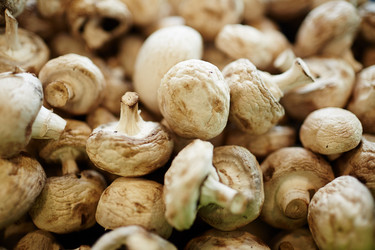 Similar image 13202788