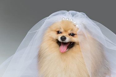 Similar image 13211210