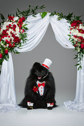 Similar image 13211211