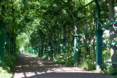 Similar image 13202876