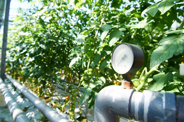 Similar image 13202950