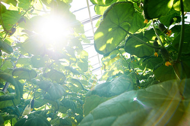 Similar image 13202611