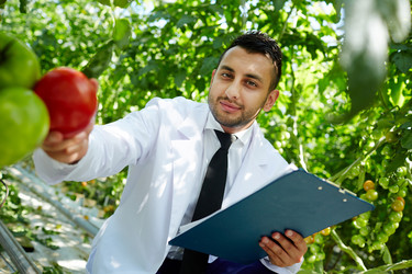 Similar image 13202613