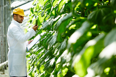 Similar image 13203515