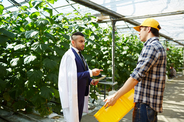 Similar image 13203517