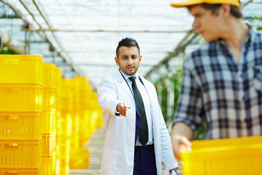 Similar image 13203528