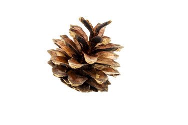 Similar image 13204162