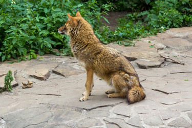 Similar image 13210915