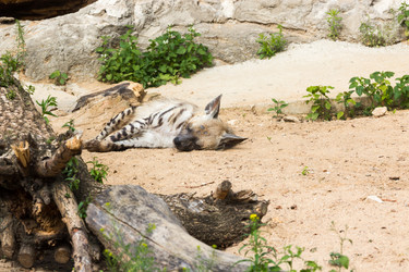 Similar image 13211330