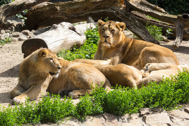 Similar image 13216374