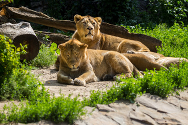 Similar image 13216375